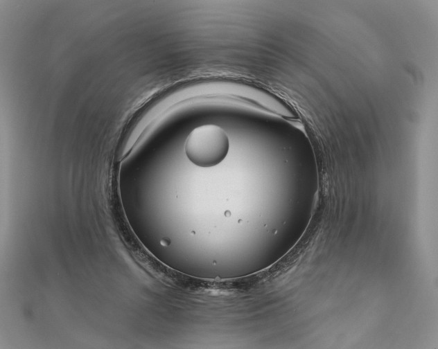 X0000111790352200908061141