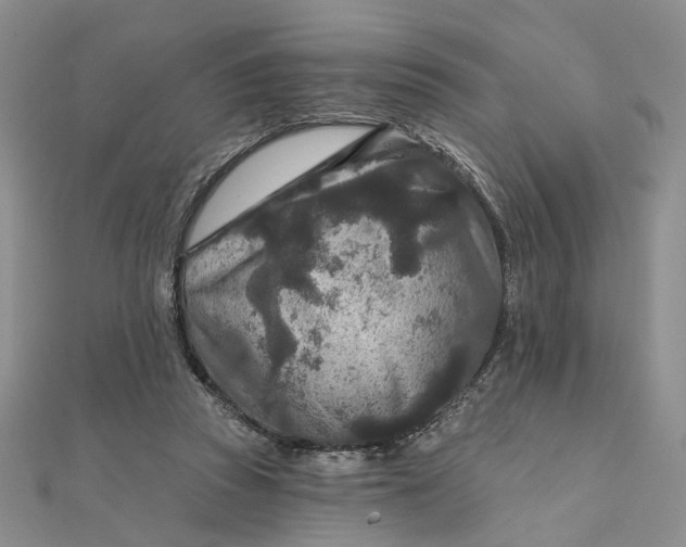 X0000111790353200908061141