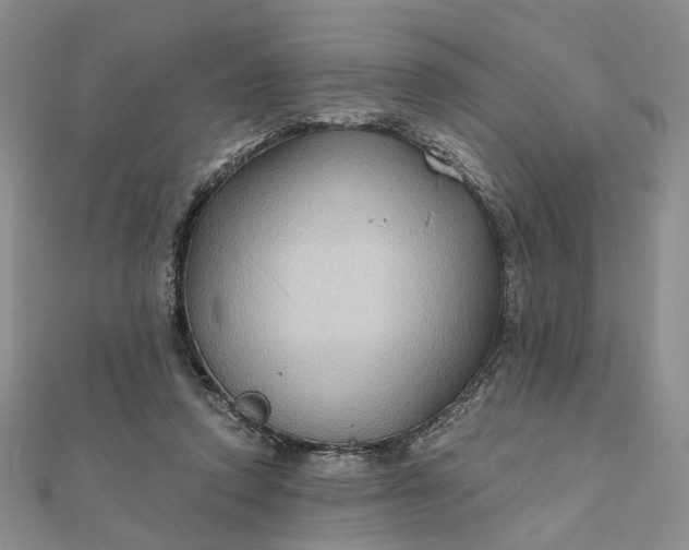 X0000111790354200908061141