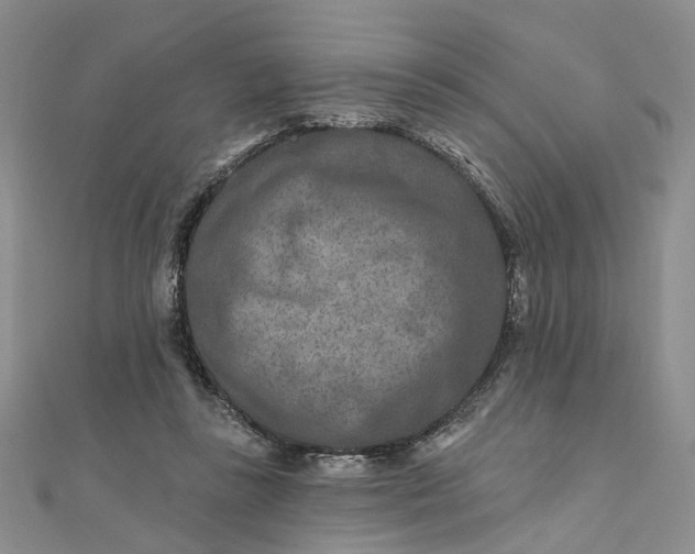 X0000111790355200908061141