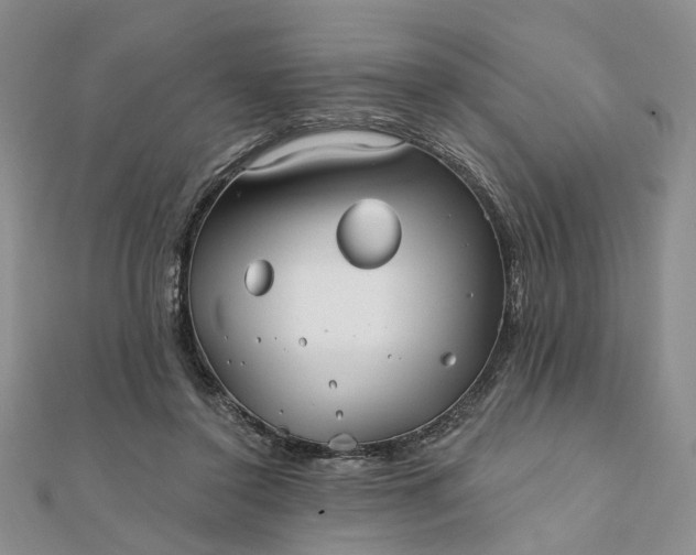 X0000111790356200908061141