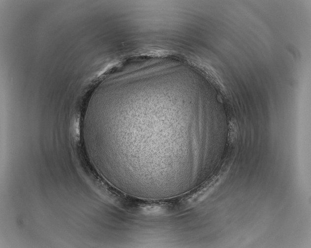 X0000111790358200908061141