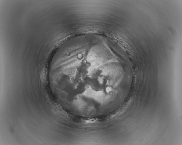 X0000111790359200908061141