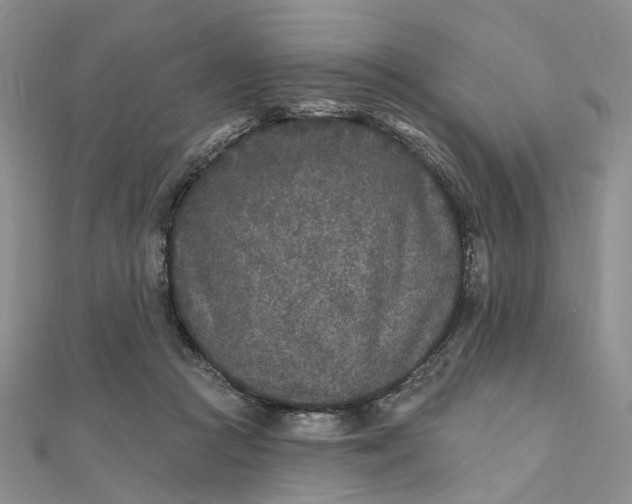 X0000111790361200908061141