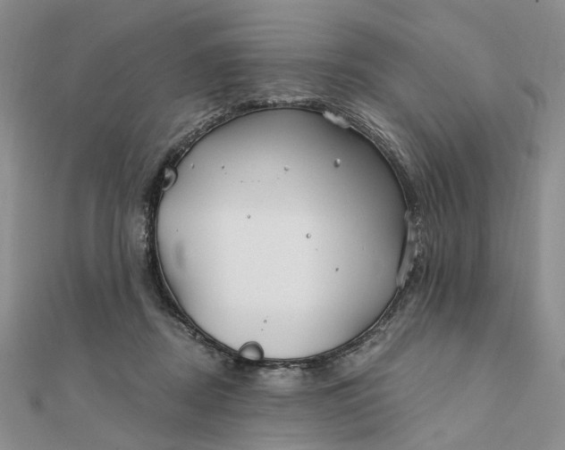 X0000111790362200908061141