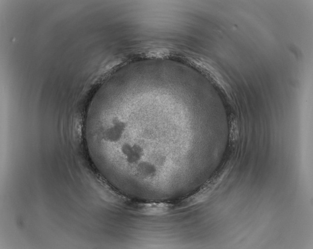 X0000111790363200908061141