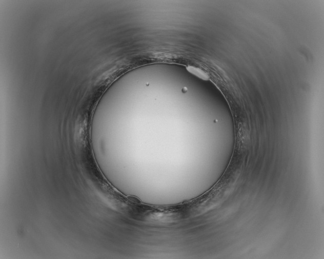 X0000111790364200908061141