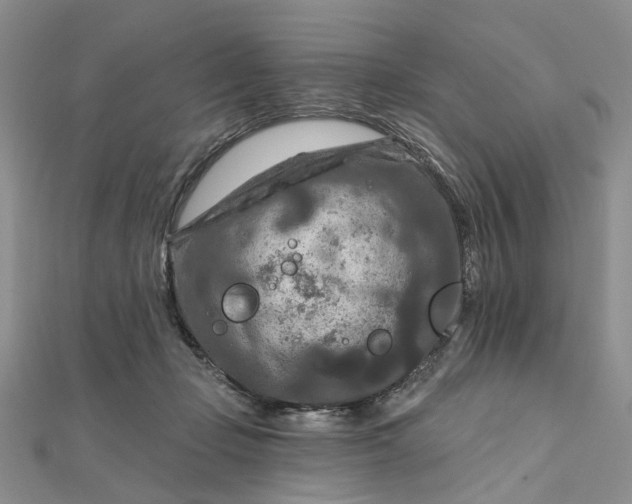 X0000111790365200908061141