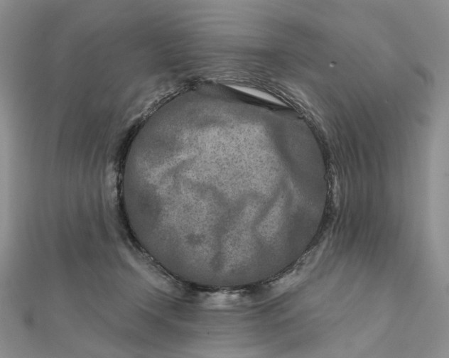 X0000111790366200908061141