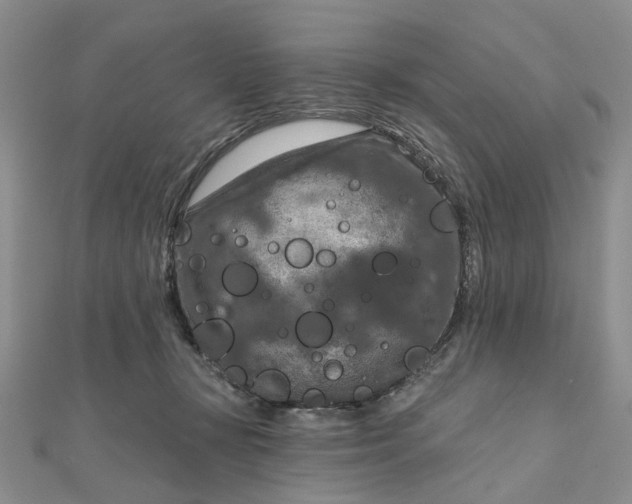 X0000111790367200908061141