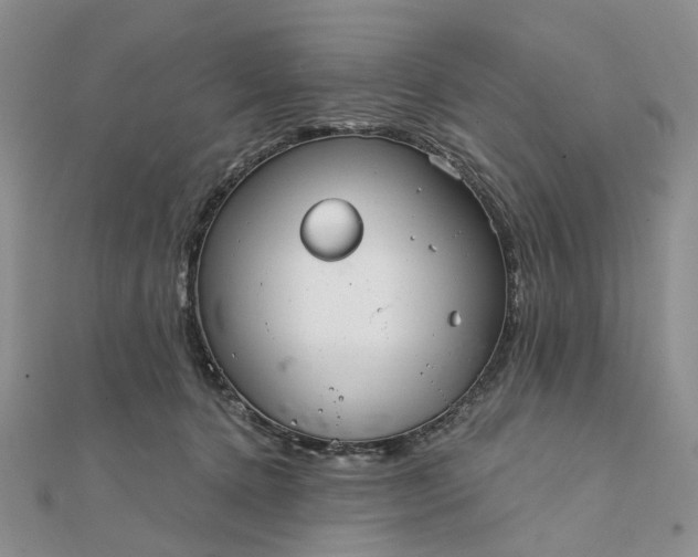 X0000111790368200908061141