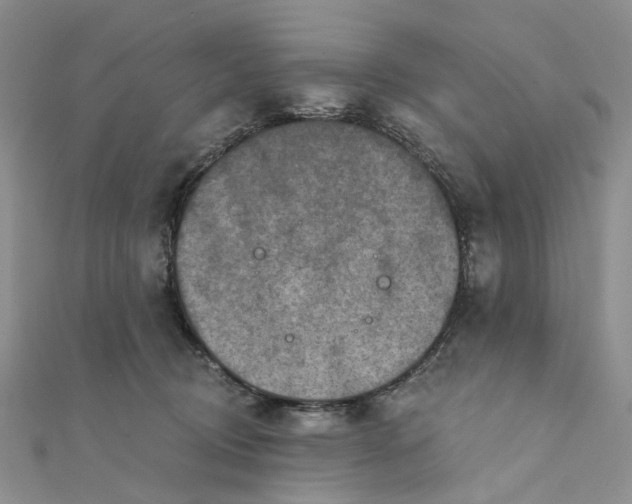 X0000111790370200908061141