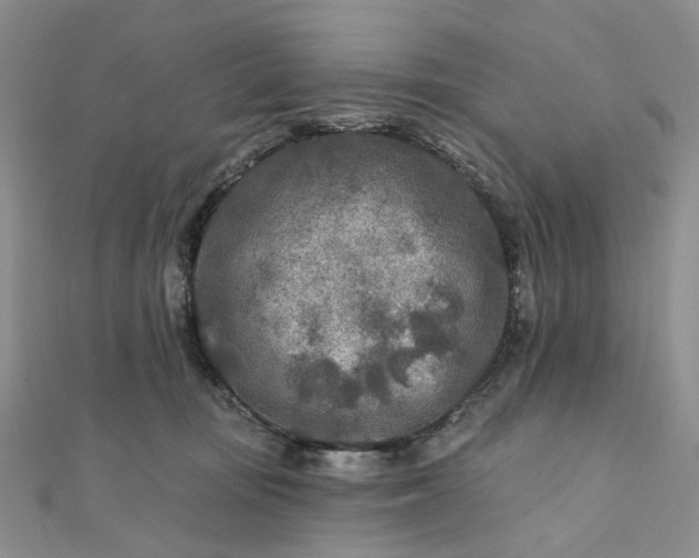 X0000111790371200908061141