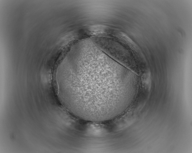 X0000111790372200908061141