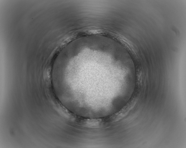 X0000111790373200908061142