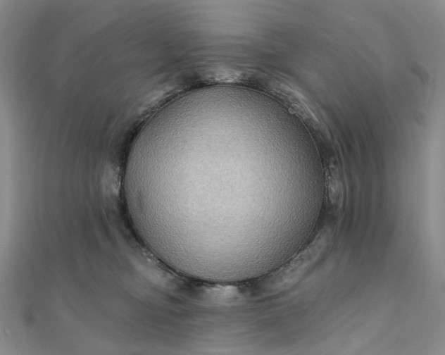 X0000111790374200908061142