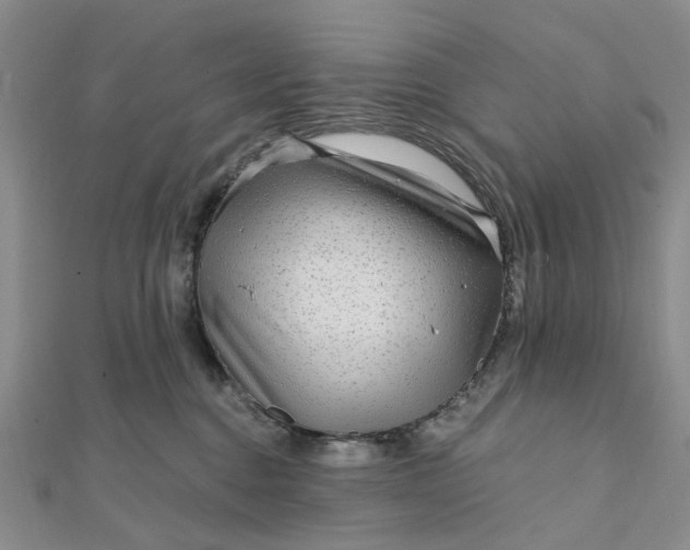 X0000111790376200908061142