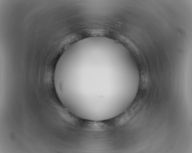 X0000111790379200908061142