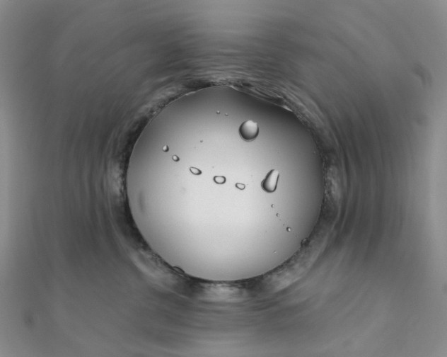 X0000111790380200908061142