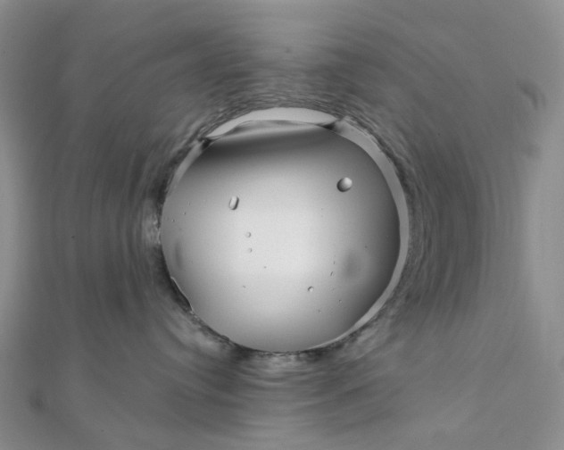 X0000111790384200908061142