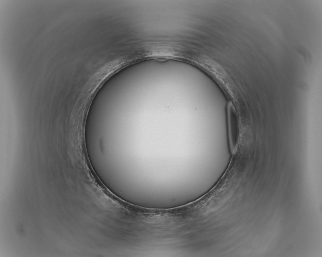 X0000111790385200908061141