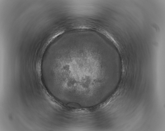 X0000111790386200908061141