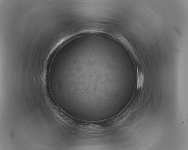 X0000111790387200908061141