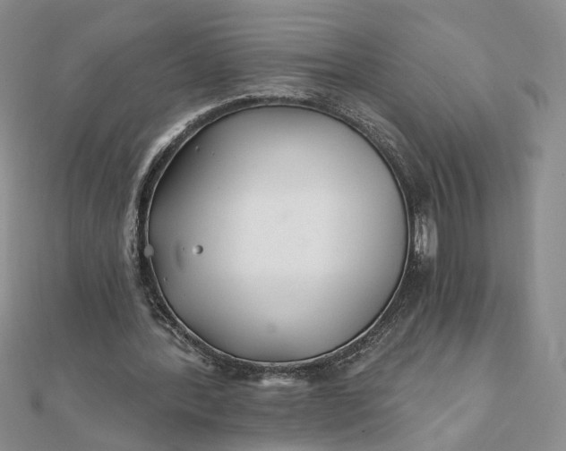 X0000111790388200908061141