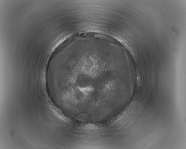 X0000111790390200908061141