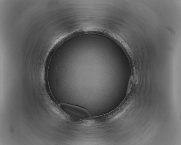 X0000111790391200908061141