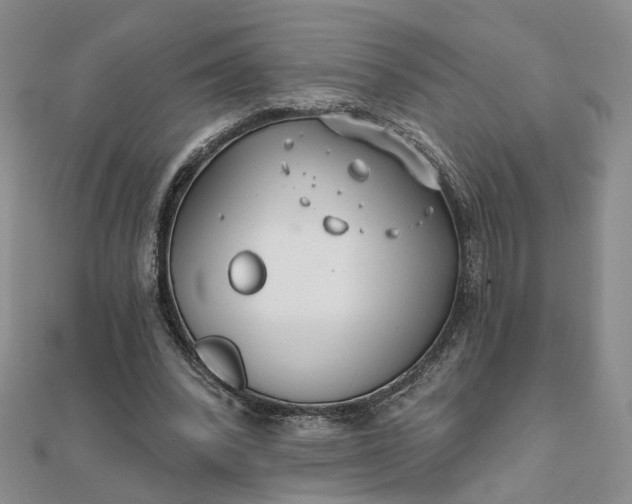 X0000111790392200908061141