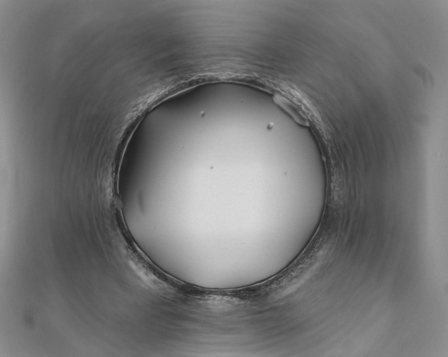 X0000111790393200908061141