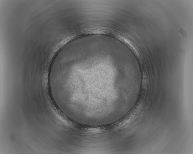 X0000111790394200908061141