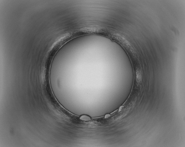 X0000111790396200908061141