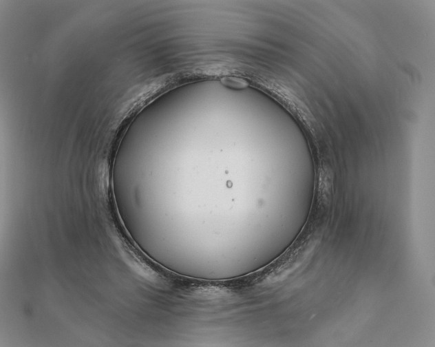 X0000111790397200908061141