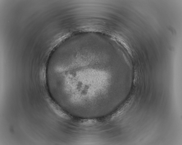 X0000111790398200908061141