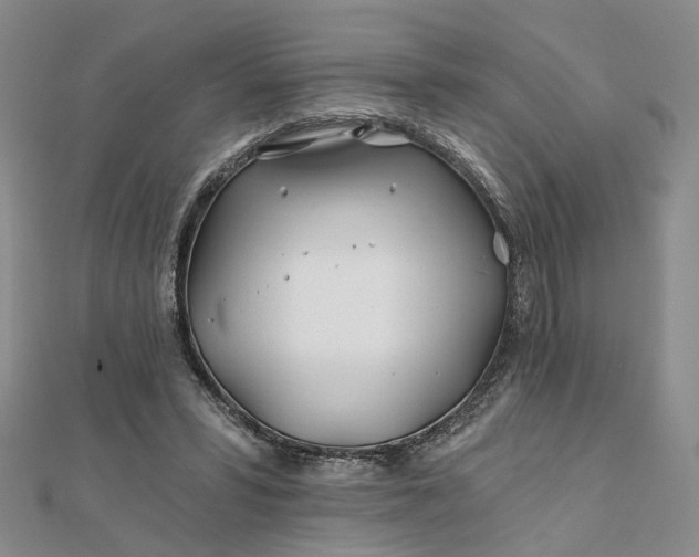 X0000111790399200908061141