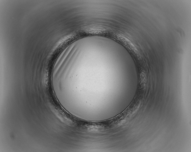 X0000111790400200908061141