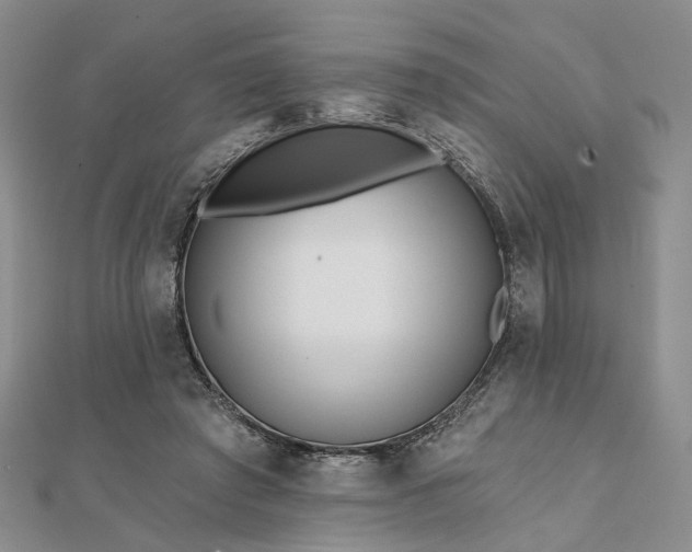 X0000111790401200908061141