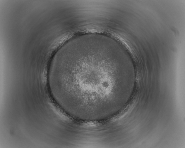 X0000111790402200908061141