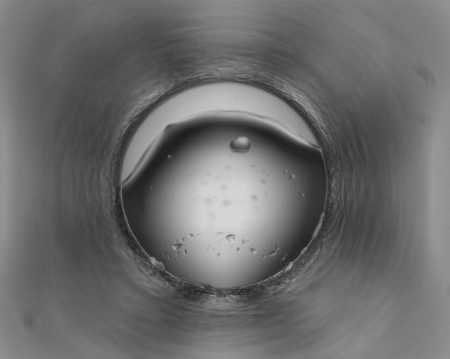 X0000111790403200908061141