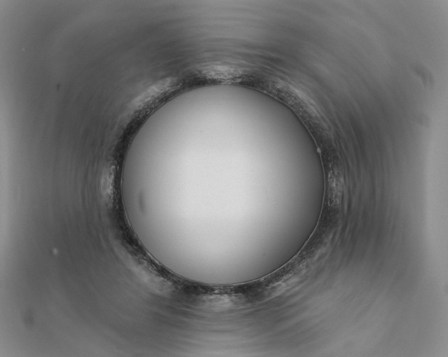 X0000111790404200908061141