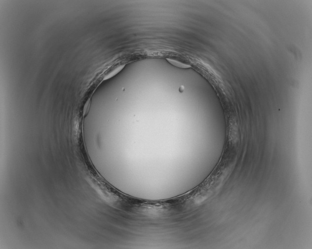 X0000111790405200908061141