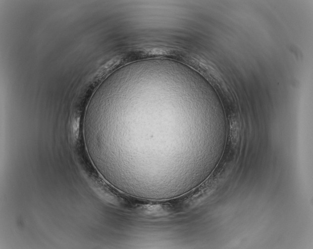 X0000111790406200908061141