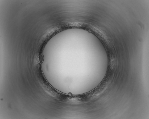 X0000111790407200908061141