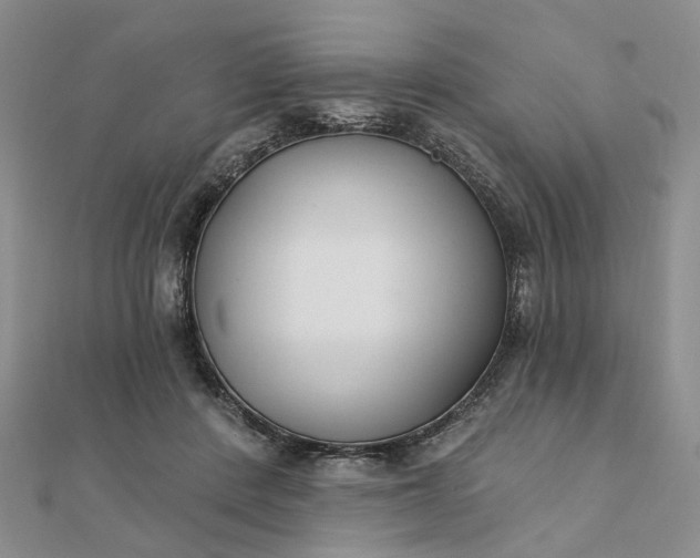 X0000111790408200908061141