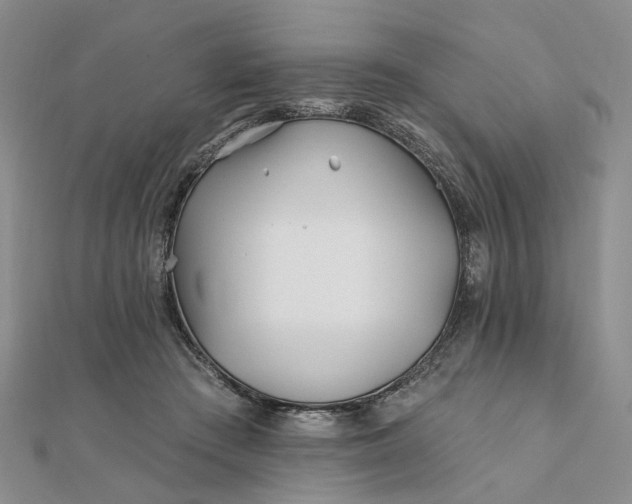 X0000111790409200908061141