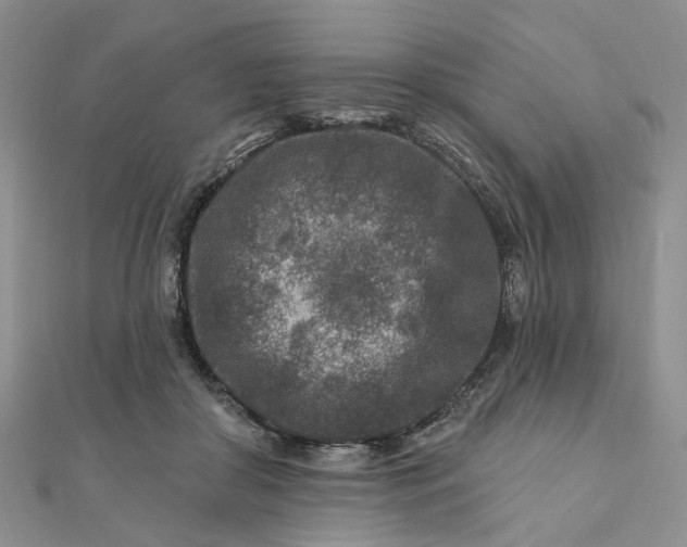 X0000111790410200908061141