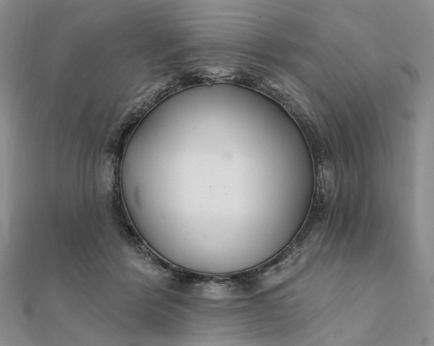 X0000111790412200908061141