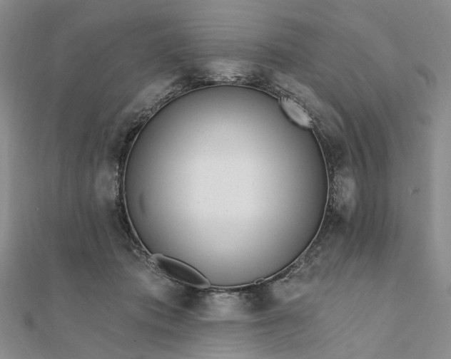 X0000111790413200908061141